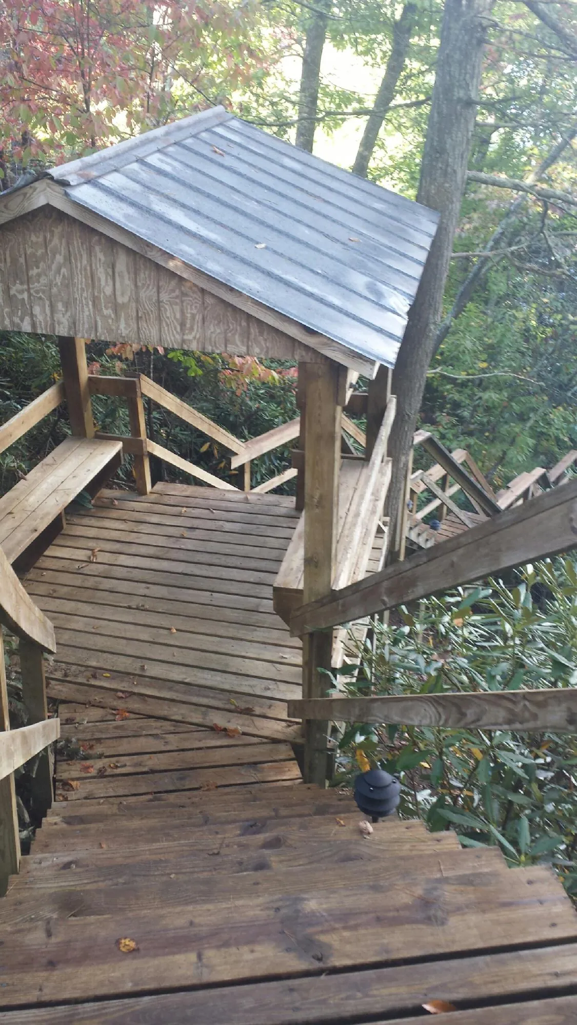 Metal roofed shelter over wooden steps on a wooded walkway — Skylight Repair & Installation work by our crew in Dryden